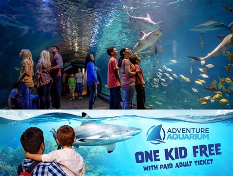 Adventure Aquarium Offering One Kid Ticket Free With Adult Ticket