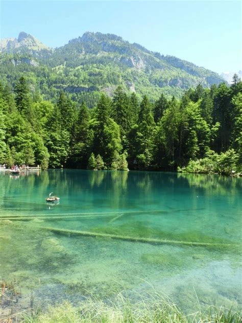 Ausflug In Den Naturpark Blausee Schweiz Studis Reisen