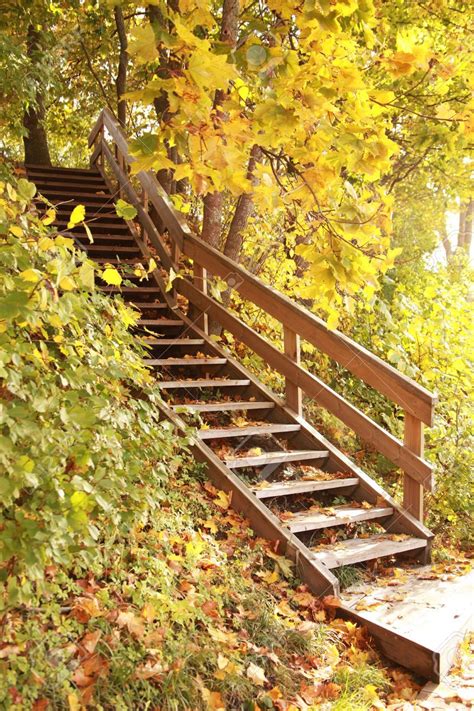 Old Wooden Stairs In Autumn Forest 5701193 Garden Stairs Terrace