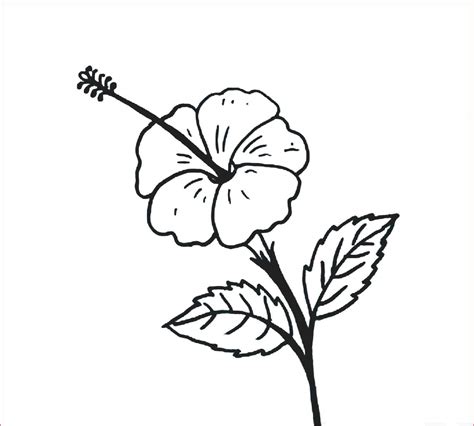 Jual tanaman hias bunga kembang sepatu hibicus kuning bangkok kota batu rosflorist tokopedia. 30+ Gambar Sketsa Bunga Mudah | Bunga Matahari, Mawar ...
