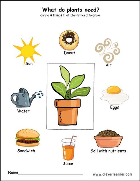 Worksheets that teach alphabet skills, counting, phonics, shapes, handwriting, and basic reading. Needs of plants worksheets for preschool #preschool # ...