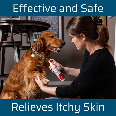 How Can You Tell If Your Dog Has Dry Skin