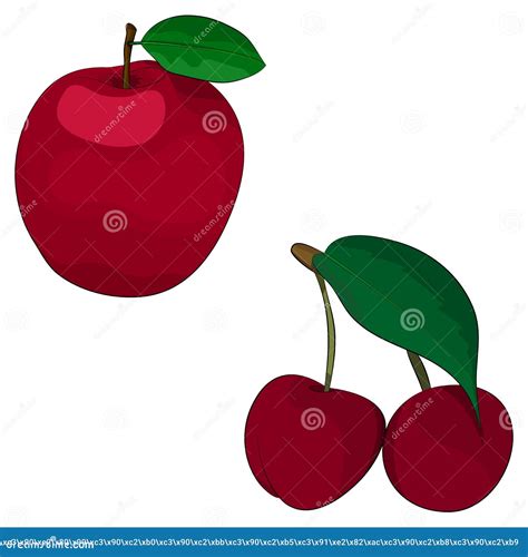 Apple Cherry Stock Vector Illustration Of Tree Cherry 64951707