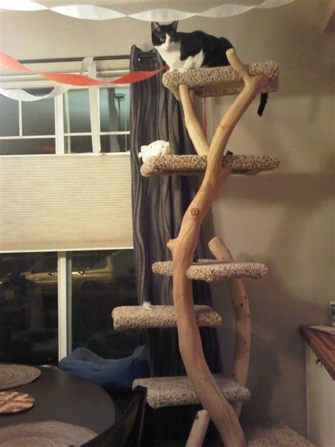 Great Cat Tree Made In Medford Or Diy Cat Tree Diy Cat Tower Cat Diy
