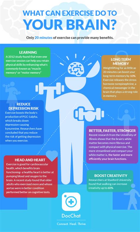 What Can Exercise Do To Your Brain Infograph