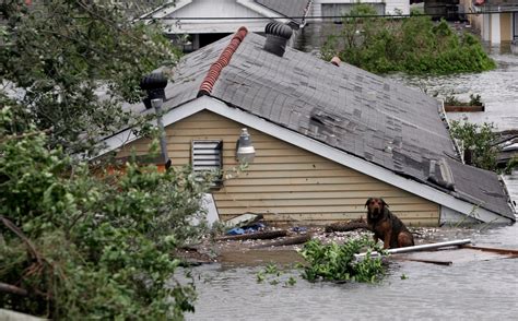 Photos Hurricane Katrina Slammed The Gulf Coast 12 Years Ago Orange