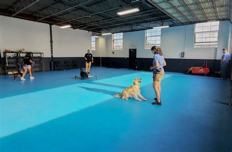 Why Is Dog Training With A Boarding Facility The Best