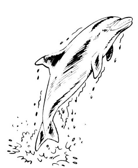 Coloriage Dauphin #5246 (Animaux) – Dessin à colorier – Coloriages à