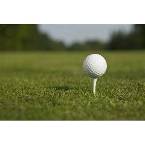 Being fun, memorable, and unique. Fun Games to Play in a Scramble Golf Tournament ...