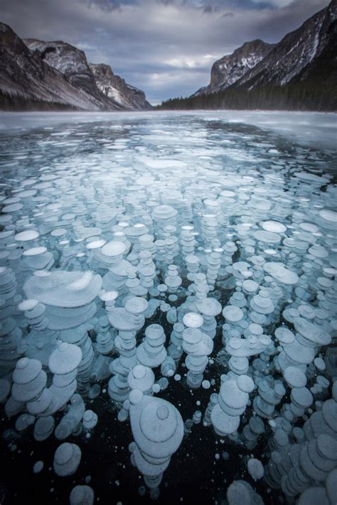 Frozen Bubbles In Canadian Lakes In Pictures World News The Guardian