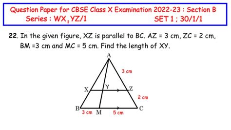 Q22 In The Given Figure Xz Is Parallel To Bc Az 3 Cm Zc 2 Cm Bm 3 Cm And Mc 5 Cm