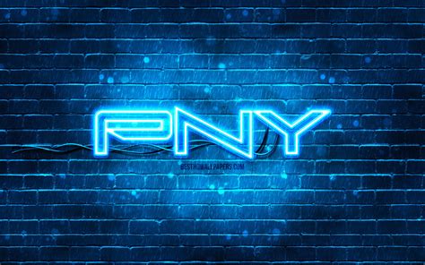 Download Wallpapers Pny Blue Logo 4k Blue Brickwall Pny Logo Brands