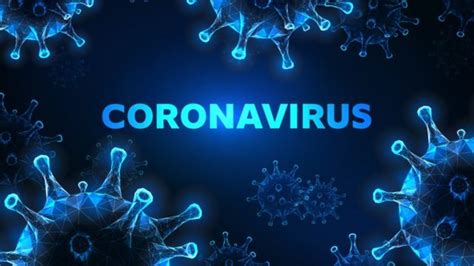 Qué Son Los Coronavirus Cuántos Hay Y Qué Efectos Tienen Sobre Los