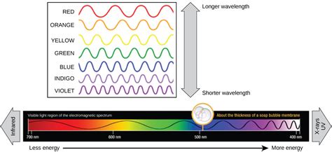 Spectrums Of Light Biology For Majors I