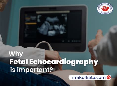 Everything You Need To Know About Fetal Echocardiography