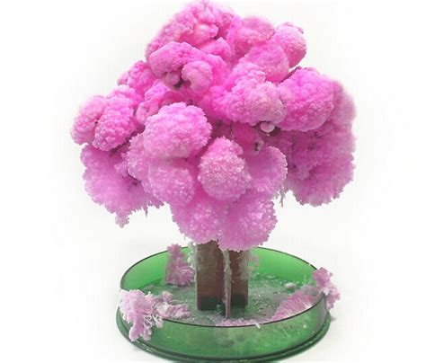 2019 14x11cm Japan Pink Big Magic Grow Paper Sakura Tree Magically