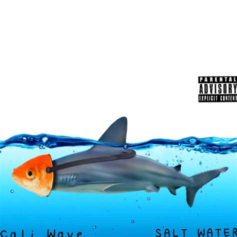 Salt Water Album By Cali Wave Spotify