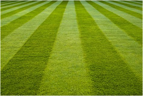 A Beginners Guide To Mowing Stripes Marypwaters