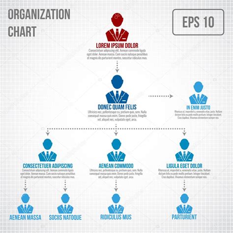 Organizational Chart Infographic — Stock Vector © Macrovector 45392923
