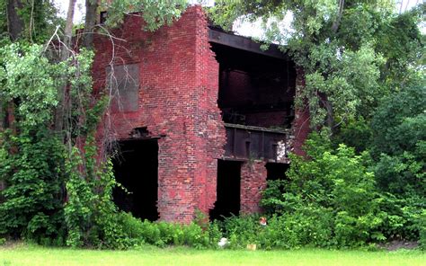 Overgrown Brick Building Full Hd Wallpaper And Background Image