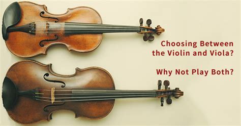 Difference Between Fiddle And Violin Best Event In The World