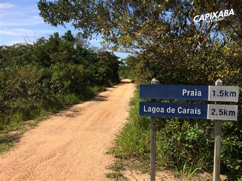 Parque Estadual Paulo César Vinha Conheça A Lagoa Da Coca Cola