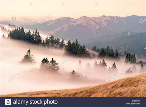 Fog On The Coastal Range Mt Tamalpais State Park California Usa Stock