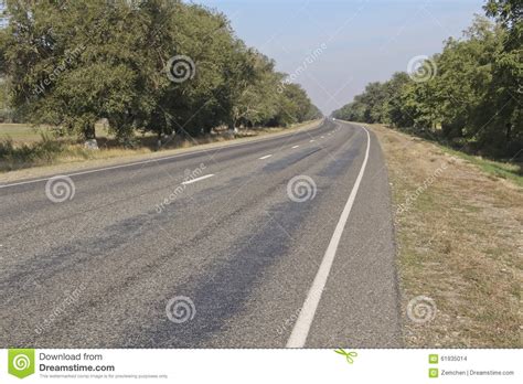 Asphalt Road With Trees Both Sides Stock Photo Image Of Nature