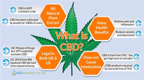 What Is Cbd Everthing You Should Know About Cbd Entrepreneurs Break