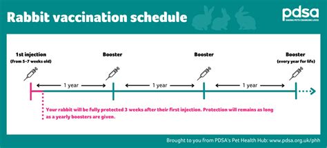 Rabbit Vaccines Pdsa