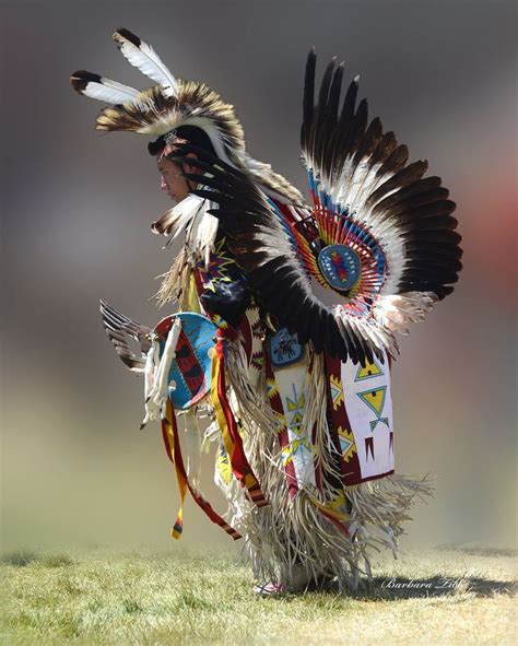 Mens Traditional Dancer In 2020 Native American Dance Native American Men Native American