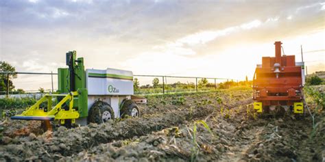 Oz Le Robot Pour éviter Lusage Des Herbicides Chez Les Agriculteurs