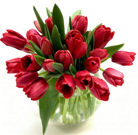 Convey Your Love Confessions With Beautiful Valentine Flowers