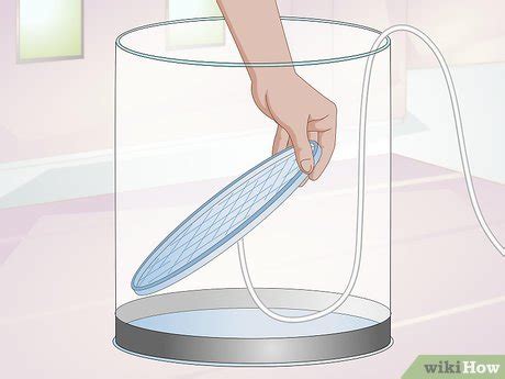How to start a jellyfish tank. How to Start a Jellyfish Tank (with Pictures) - wikiHow