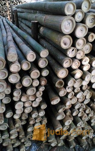 Bambu Steger Panjang 6 Meter Diameter 7 8 9 10cm Di Kota Jakarta Utara