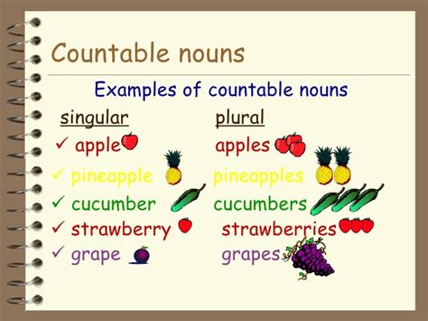 101 Contoh Countable Noun Dan Pengertian Lengkap