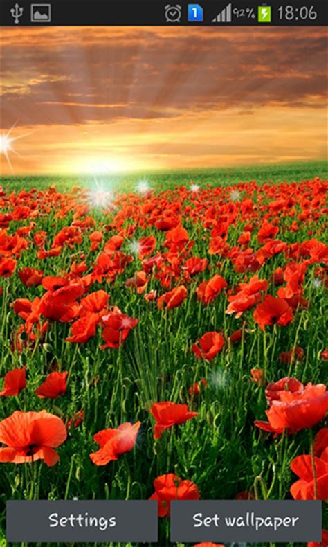 Spring Meadow Live Wallpaper For Android Spring Meadow Free Download