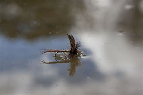 5 Dry Fly Fishing Tips Peaks Fly Fishing