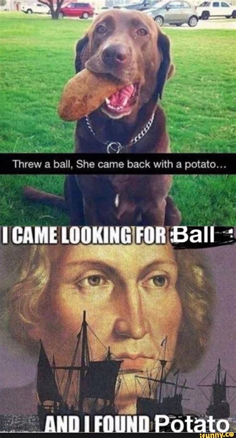 Threw A Ball She Came Back With A Potato Ar I Game Looking For Ball