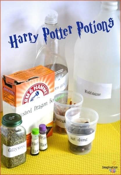 Harry Potter Potions Class Experiments Imagination Soup