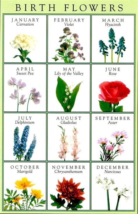 Petrine Mikaelsen Birthstones And Flowers By Month Birthstone