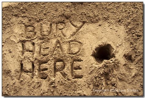 Bury Head Here Flickr Photo Sharing