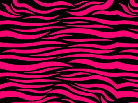 Free Download Cool Zebra Print Wallpaper Pink Zebra Zebra Print 3 Hot