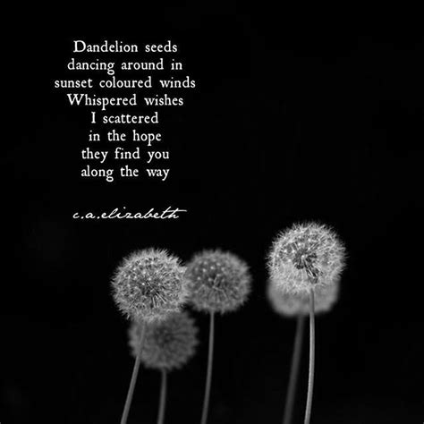 √ dandelion wish sayings