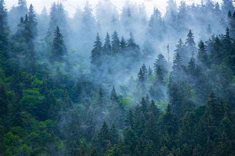 Misty Mountain Landscape Containing Forest Fog And Travel Nature