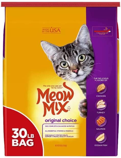 Best Wet Cat Food For Older Cats That Vomit Cat Meme Stock Pictures