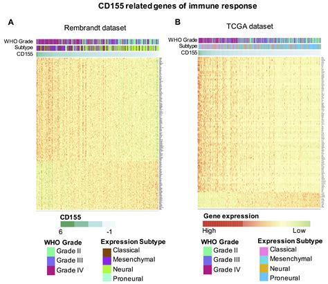 Large Scale Analysis Reveals The Specific Clinical And Immune Features