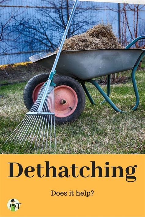 It is rare that clippings must be removed from the lawn, and even. Does dethatching the lawn actually help? There are certainly instances where dethatching is a ...