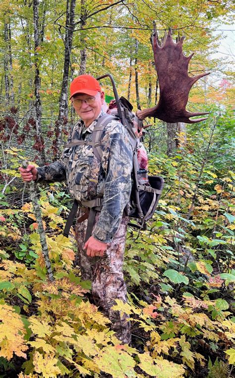 Guided Maine Moose Hunts Dennis Canoe The Wild