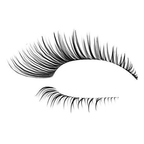 Eyelash Photoshop Template Designs Liked On Polyvore Featuring Beauty